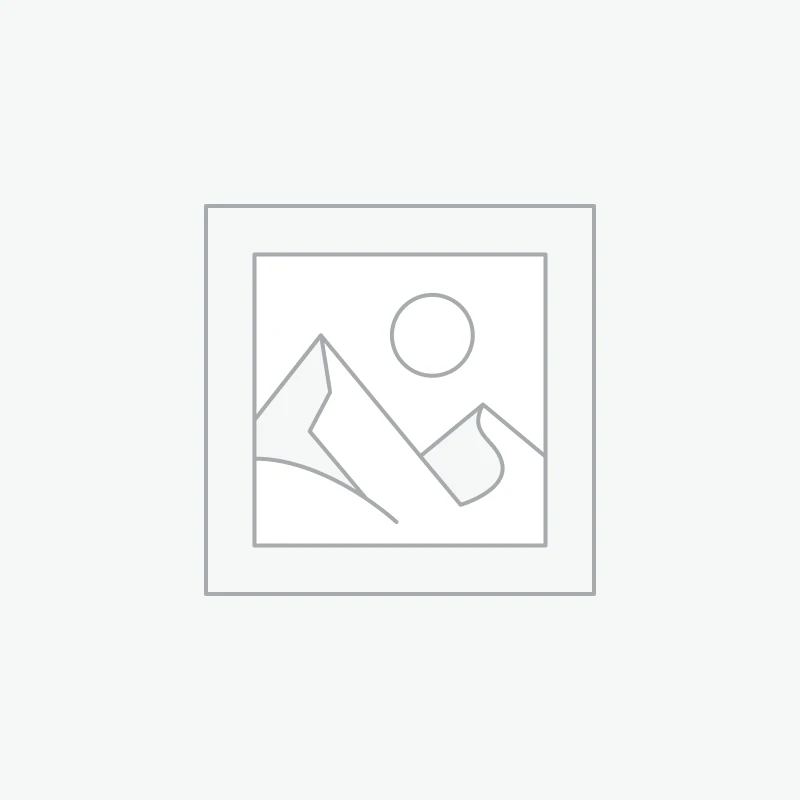 Handwritten Fonts
